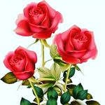 Profile Picture of Amit Khushbu Bajaj (@_i_love_you_mom_and_dad__) on Instagram