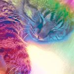 Profile Picture of Cödy (@csamuels987789) on Instagram