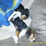 Dustin Nesbitt - Instagram Profile Picture of Dustin Nesbitt (@dustinnesbitt) on Instagram