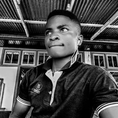 Profile Picture of Dovi Yao René (@rene_dovi) on Twitter