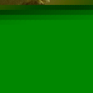 Profile Picture of François Couture (@242495408) on Myspace