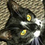 Profile Picture of Tina Tyler (@missbehavin302) on Flickr