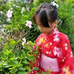 Profile Picture of Jasmine Liao (@liaoyiju0828) on Instagram