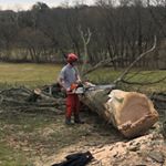 Profile Picture of John Harker (@twiggyclimbstrees) on Instagram
