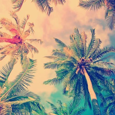 Cody Nickel - Twitter Profile Picture of Cody Nickel (@Cnickel55) on Twitter