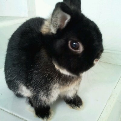 Profile Picture of Phillip (@phillip_esp4yu) on Twitter