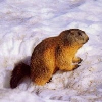 Profile Picture of André Poulin. (@andré-poulin-1) on Quora