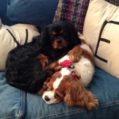Profile Picture of Andrew Hartfield (@IDreamofJeanneH) on Twitter