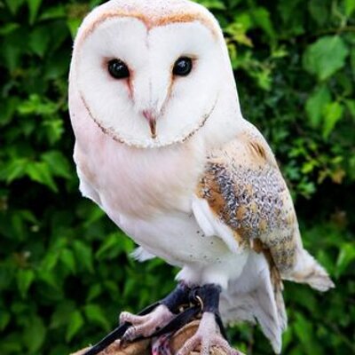 Profile Picture of Cam Paul (@cpaul7547) on Twitter