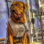 Profile Picture of Andrew Colquhoun (@andy_vo2) on Instagram