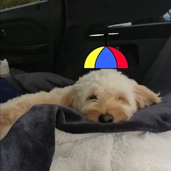 Profile Picture of Amelia Duane (@atduane111) on Poshmark