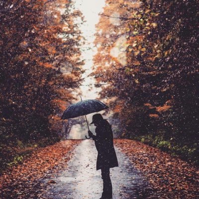 Profile Picture of Dinh Quynh Nga (@DinhQuynhNga1) on Twitter