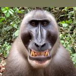Profile Picture of Barry Cody (@barrycody1) on Instagram
