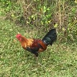 Profile Picture of Michael (@cotten12112018) on Instagram