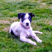 Profile Picture of Robert Denton (@robertdenton6936) on Youtube