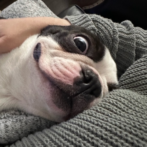 Profile Picture of Karah Hobbs (@karahdawn) on Poshmark