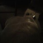 Terry Cantley - Instagram Profile Picture of Terry Cantley (@chelseacantley) on Instagram