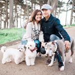 Profile Picture of PeTeY (@itspeterkim) on Instagram