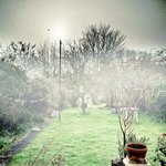 Profile Picture of Jacquelyn Bailey (@jacquelynbailey) on Instagram