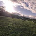 Profile Picture of Seth Lockhart (@seth_4240) on Instagram