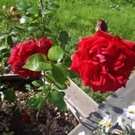 Profile Picture of Torill Zachariassen (@torill.zachariassen) on Facebook