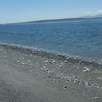 Profile Picture of evan wheeler (@hothead2897) on Instagram