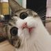 Profile Picture of Teer Aaron (@teer.aaron) on Facebook