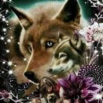 Profile Picture of Martin Gargulák (@gargulakmartin) on Instagram