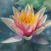 Profile Picture of Ivy Harris (@ivyharris6011) on Youtube