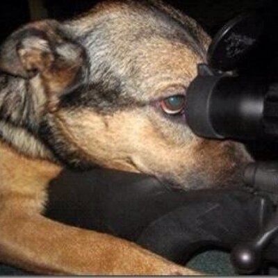 Brent Johnson - Twitter Profile Picture of Brent Johnson (@glock4027) on Twitter