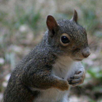 Profile Picture of Matthew Daugherty (@matheda) on Twitter