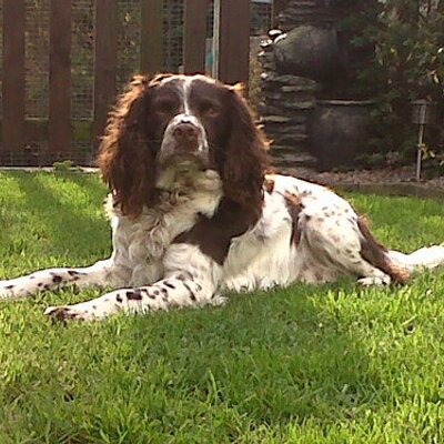 Profile Picture of Josephine Devlin (@JosephineDevlin) on Twitter