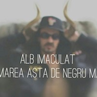 Profile Picture of Cristian Dima (@cristian-dima-8) on Quora