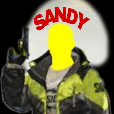 Profile Picture of Sandy Hacker (@SandyHacker11) on Twitter