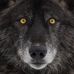 Profile Picture of Joel Grass (@joel.grass.77) on Facebook