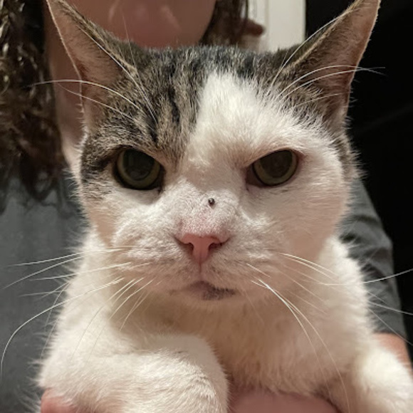 Profile Picture of Ava Del guidice (@avarose789) on Poshmark