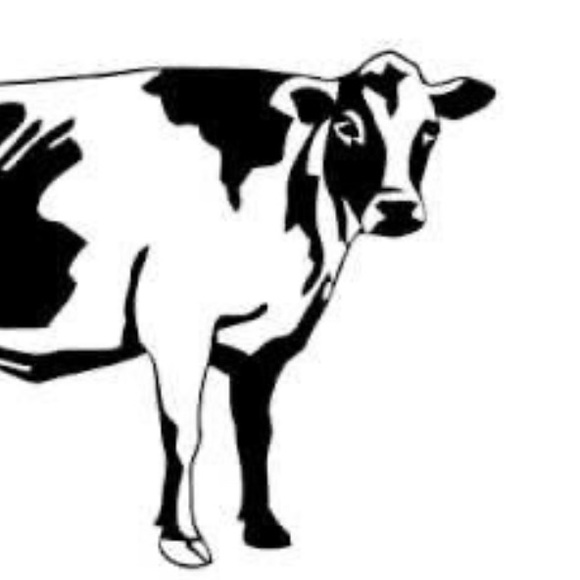 Profile Picture of Paige Cederlund (@paigecederlund) on Poshmark