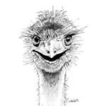 Profile Picture of Ian Withers (@i.bot_withheld) on Instagram