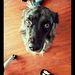 Profile Picture of Javier Lazo (@javier6483) on Pinterest