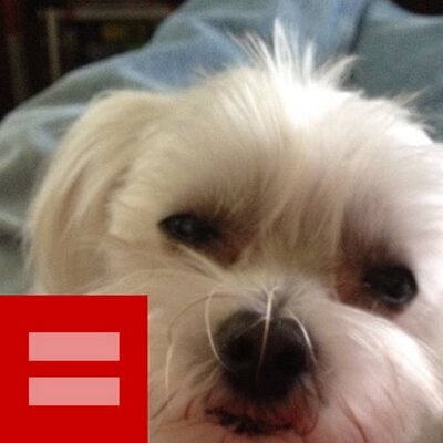 Profile Picture of Michael D. Fegley (@mfegley) on Twitter