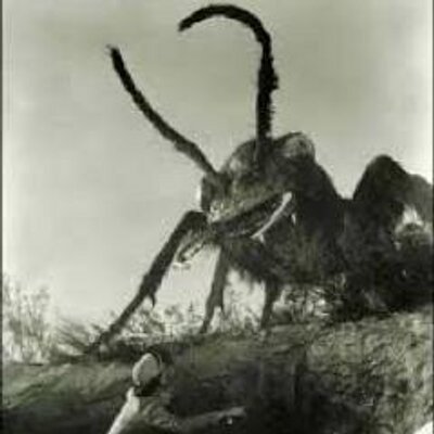 Profile Picture of John Dougherty (@JohnJcdough) on Twitter