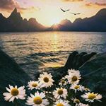 Profile Picture of Søsóò Adel (@israa_elfarra) on Instagram
