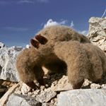 Profile Picture of Jeff Tarantulino (@jeff_tarantulino) on Instagram