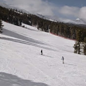 Profile Picture of Chris Carhart (@xxchrisxx20) on Youtube