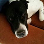 Profile Picture of Craig Christman (@christman.craig) on Instagram
