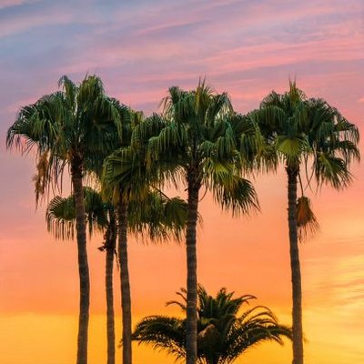 Carla Parsons - Twitter Profile Picture of Carla Parsons (@CarlaPa72434393) on Twitter