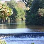 Profile Picture of Jean  pierre Thomas (@sarlorphee) on Instagram