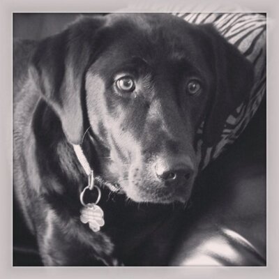 Profile Picture of Joel Kincaid (@joel_r_kincaid) on Twitter