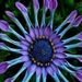Profile Picture of Claire Laporte (@clairelaporte) on Pinterest