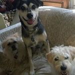 Robin Akers - Instagram Profile Picture of Robin Akers (@robin.akers.71) on Instagram